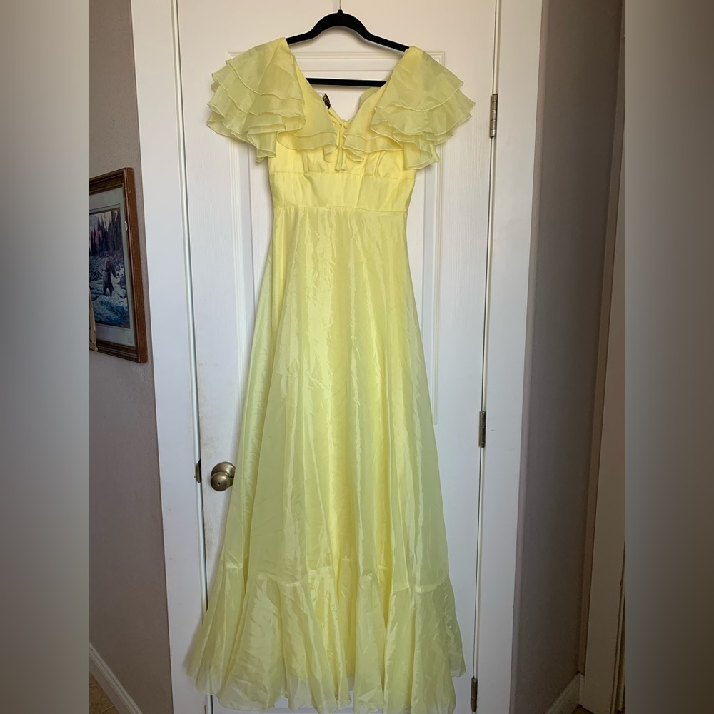 Vintage 1970s maxi dress